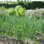 Manoir Du Plessis Au Bois