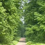 Bed & Breakfast Manoir Du Plessis Au Bois Vauciennes (Oise)
