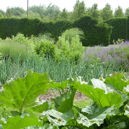 Manoir Du Plessis Au Bois Oda ve Kahvaltı 3*