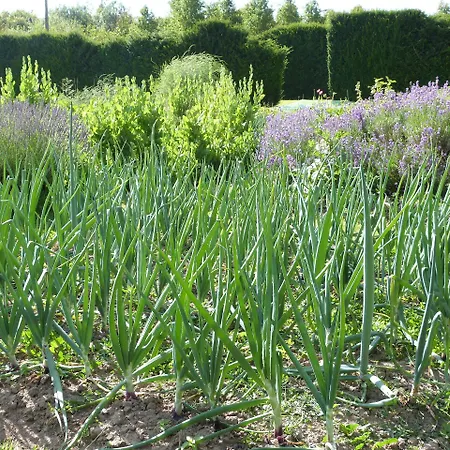 Manoir Du Plessis Au Bois