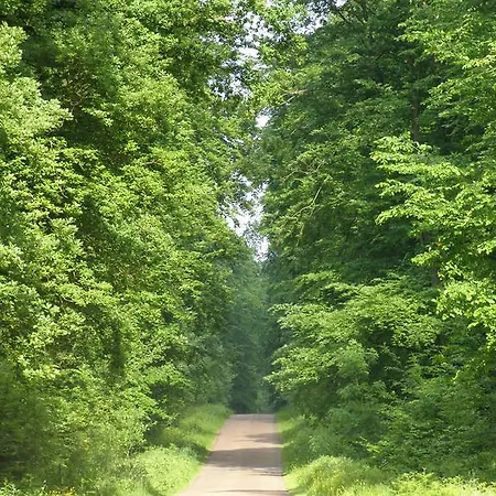 Oda ve Kahvaltı Manoir Du Plessis Au Bois Vauciennes (Oise)
