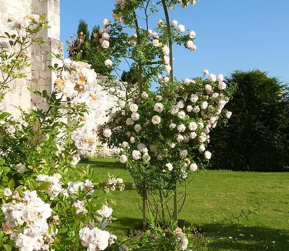 Manoir Du Plessis Au Bois