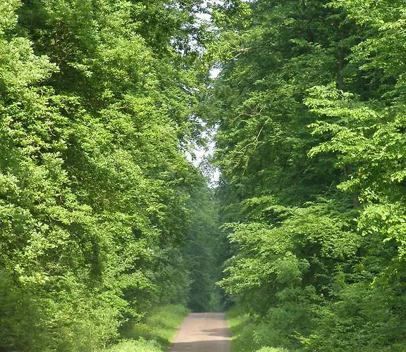 Bed & Breakfast Manoir Du Plessis Au Bois Vauciennes (Oise)