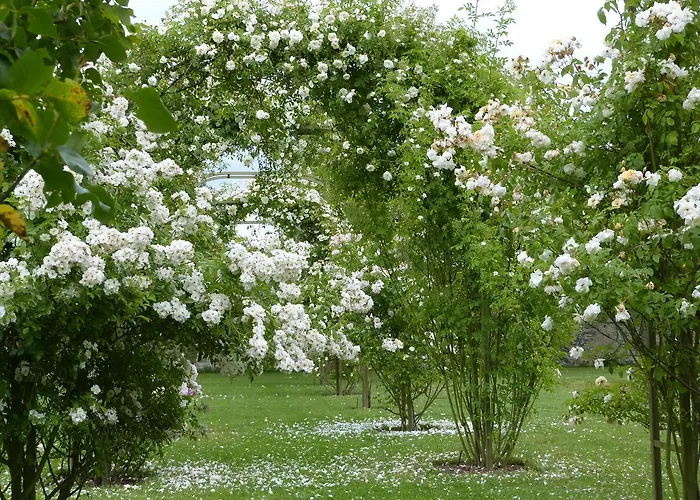 Bed & Breakfast Manoir Du Plessis Au Bois 3*